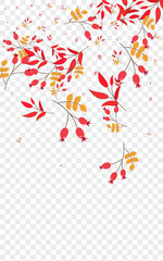 Green Leaf Background Transparent Vector. Berries Autumn Template. Red Leaves Modern. Agriculture Frame. Herb Decorative.