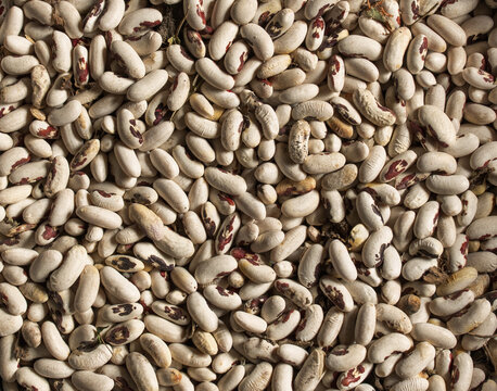 Legumes (beans). Background of many grains of dried beans. Texture of white beans. Food background. Close. Bean background and textured.  . Concept: market, food, vegetables, cereals