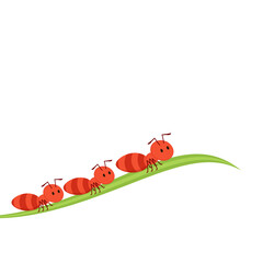 Ant character vector. Ant on white background. Ant on the leaf.
