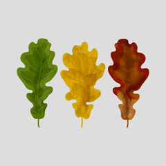 Obraz premium oak leaves of various shades