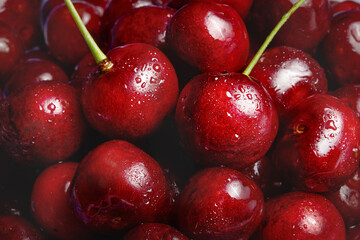 Cherry Background. Sweet organic cherries