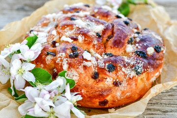 Traditional  italian easter  bread cake with  sugar,chocolate and nuts and  spring bloom 