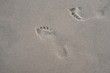 Footprints on wet sand. Footprints on the beach.