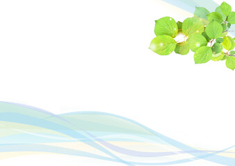 初夏の新緑　木漏れ日と風　背景素材