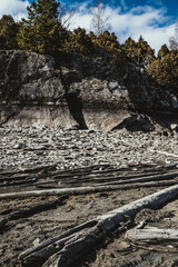 Rugged sea shore at low tide with drift wood strewn across the shore.