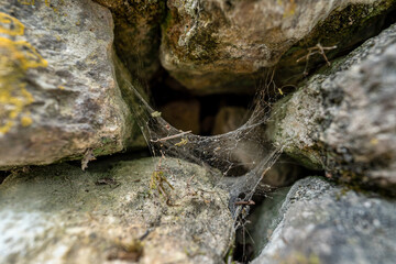 Spiderweb between old rocks in a stone wall, background, texture