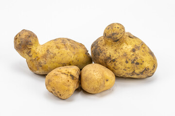 Potatoes fresh isolated in white background, shot using studio lighting setup, macro lens used for crystal clear quality and detailing