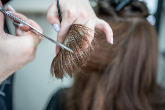 Close up of female hairdresser makes hairstyle on brunette woman in salon, cutting hair with scissors.