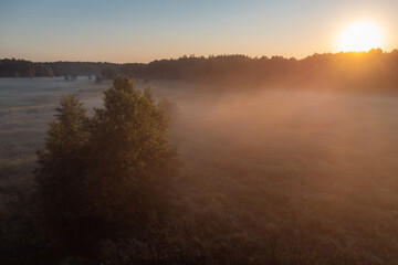 Misty morning in the countryside. Rising sun illuminate fog hiding under the trees in the valley