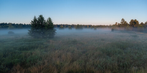 Calm morning in the countryside. Small field near the river in morning fog