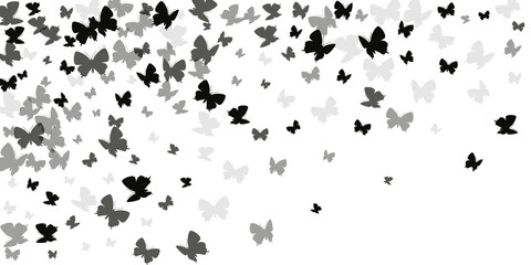 Fototapeta na wymiar Exotic black butterflies abstract vector illustration. Spring funny moths. Fancy butterflies abstract fantasy background. Tender wings insects graphic design. Tropical beings.