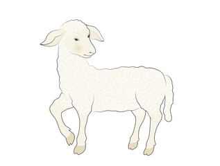 Weißes Lamm,
Vektor Illustration isoliert auf weißem Hintergrund
