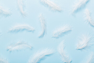 Fototapeta na wymiar Close up to bright colorful feathers background. Colored feather background, top view