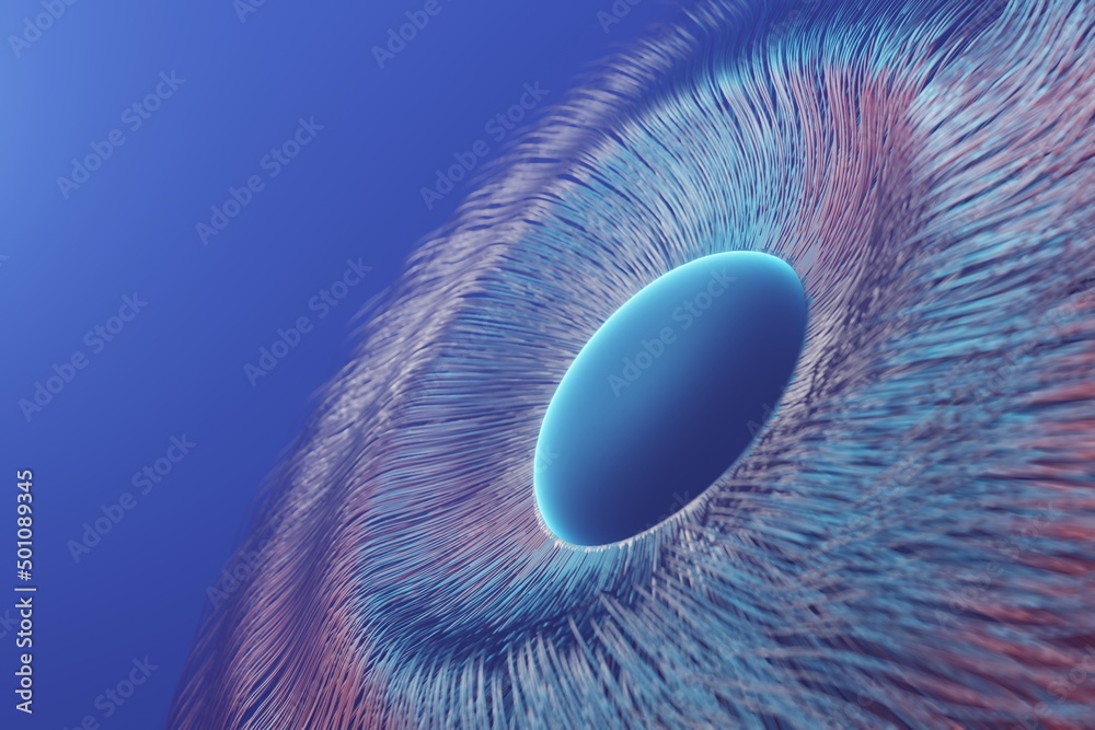 Leinwandbilder abstract eye. centric motion of star trails. starburst dynamic lines or rays. 3d rendering illustrat