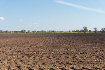 Idyllic and sunny day in Oderbruch, Brandenburg, Germany