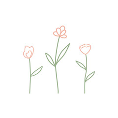 Collection of cute romantic flowers. Vector illustration, floral line art.