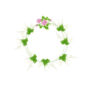 Beautiful circle picture frame made from green leaves and pink roses. Copy space for your text.
