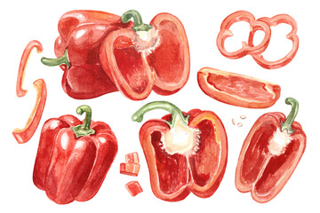Red peppers watercolor set. Hand-draw illustration. High quality photo