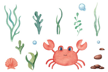 Set of watercolor hand-drawn illustrations on a marine theme. Seaweed, rocks, corals, crab, seashells. For postcards and design.
