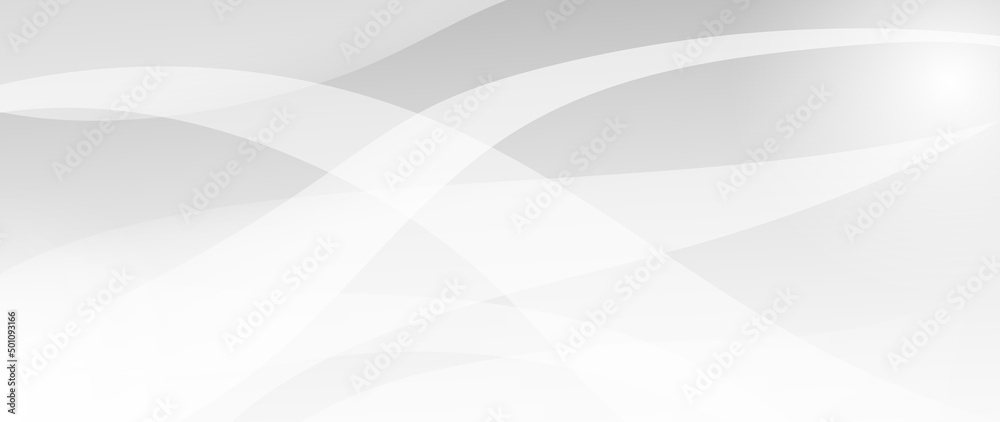 Wall mural Abstract grey background poster with dynamic waves. technology network Vector illustration.