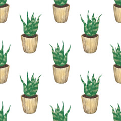 Hand-drawn potted plant simple seamless pattern. Sansevieria on a white background. Houseplant print in a sketching style