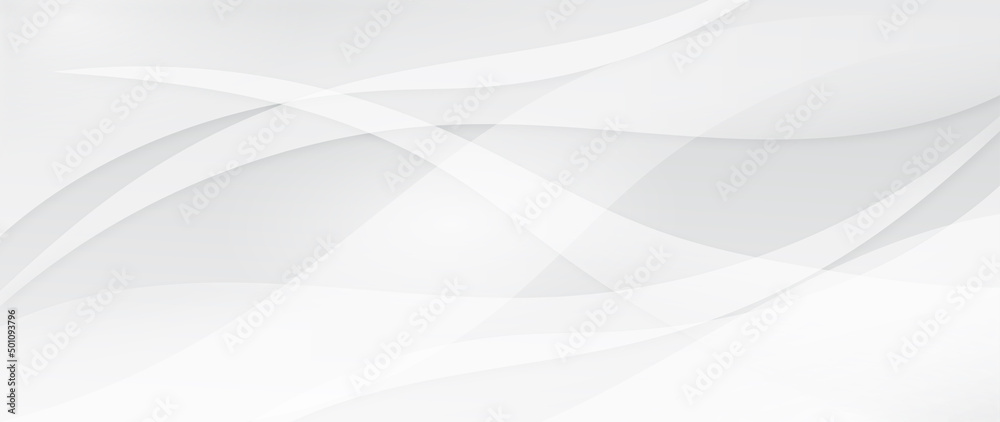 Wall mural abstract grey background poster with dynamic waves. technology network vector illustration.