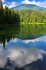 Fototapeta na wymiar landscape with lake. forest reflection in the water. beautiful background of synevyr national park, ukraine. tranquil nature scene in summer travel season. green outdoor environment