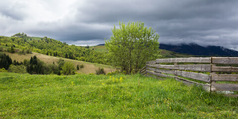 Fototapeta na wymiar rural landscape on a cloudy springtime day. beautiful countryside nature scenery of carpathian mountains in the morning. tree near the fence on the grassy hill