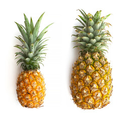 fresh pineapple tropical fruit