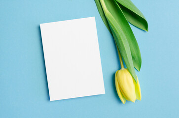 Greeting or invitation card mockup with yellow tulip flower on blue