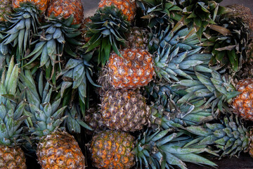 Lots of fresh pineapples on a Mexican local street market in San Cristobal de las Casas, Chiapas, Mexico. Colorful tropical fruits closeup. 