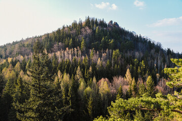.Landscape of Sokoliki mountains in Poland.