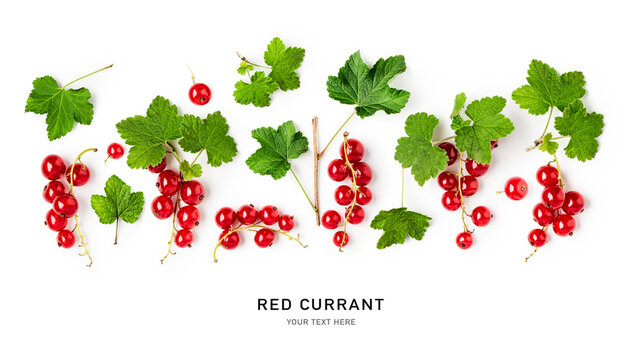 Red currant berry with leaves creative background