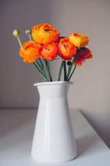Beautiful fresh colorful red and orange ranunculus flowers in full bloom in vase against gray background. Spring bouquet of buttercups.