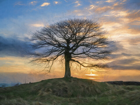 Digital abstract oil painting of a lone tree on Grindon Moor, Staffordshire, White Peak, Peak District.
