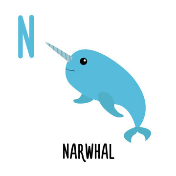 Letter N Narwhal. Animal and food alphabet for kids. Cute cartoon kawaii English abc. Funny Zoo Fruit Vegetable learning. Education cards. Isolated. Flat design. White background.