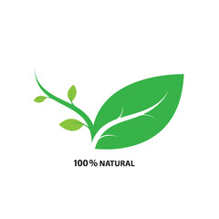 Logos of green leaf ecology nature