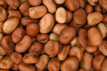Fava beans, for backgrounds or textures
