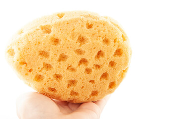 image of sponge hand white background