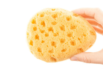 image of sponge hand white background