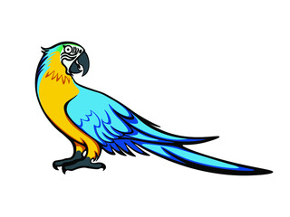 Happy cute cartoon macaw