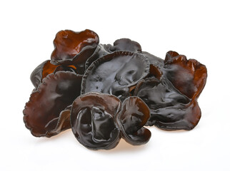 black fungus isolated on white background