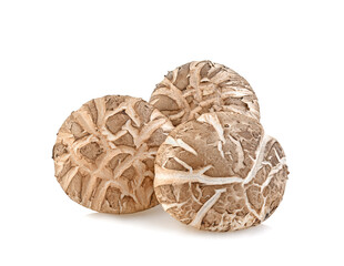 Shiitake Mushrooms isolated on white background