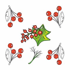 A set of rendered berries, cherries, red currants and greens. A ripe cherry is drawn with a marker. Drawing isolate. Harvest of summer and autumn.