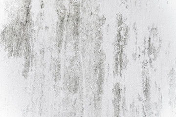 Mortar wall texture. Cement texture background. Concrete bare wallpaper. Old mortar abstract background
