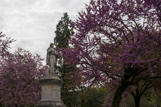 Padova Giuseppe Garibaldi Statue