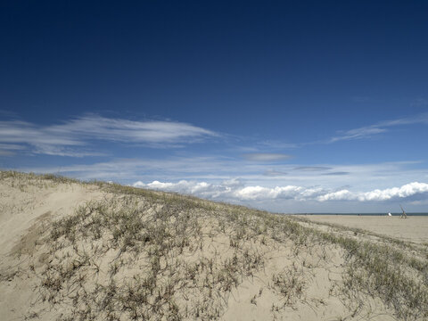 Lidi ferraresi lido ferrara sand beach panorama