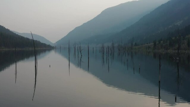 Aerial, Earth Quake Lake in Montana. Dead tree trunks reflection on lake