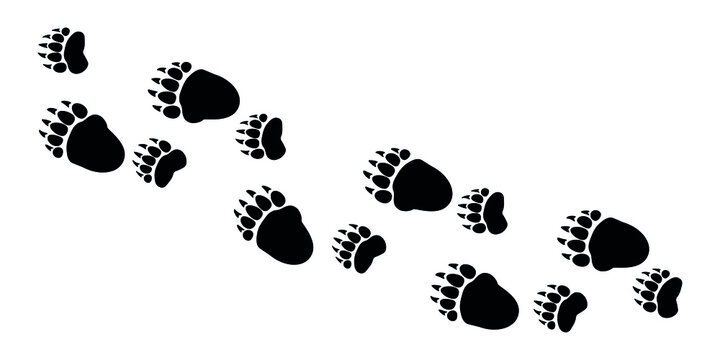 Silhouette of bear footprints. Grizzly tracks. Vector stock image.