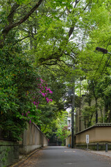 東京の赤坂6丁目での風景